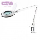 BEAUTYFOR Magnifying lamp with LED lights, table fixation ”6017”, 9W