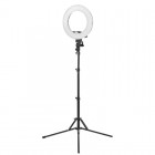 Professional LED RING 12' LIGHT 35W