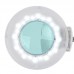 Magnifying LED Lamp