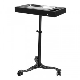 Portable Metal Tray for Instruments ASYSTOR PRO INK 716, Black
