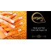 THUYA Hand and Nail Care Kit with Aragan Oil
