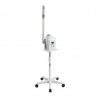 Digital facial steamer F-300H