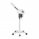 Facial Steamer F-800A