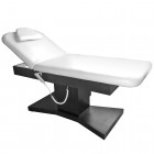 Electric Massage Bed 8263