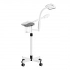 Facial steamer GIOVANNI with  magnifying LED lamp D-21 white